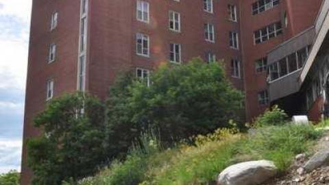 Summer 2013 - St.-Josephs-Hospital-Sudbury64.jpg