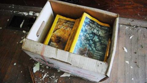 June 29 2013 - The-Kent-Line-Find6.jpg