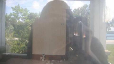 Photo from June 29 2013