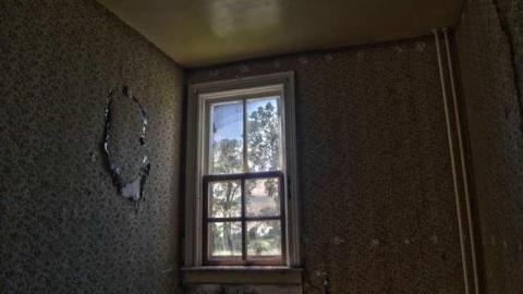 June 29 2013 - DSC_0170.jpg