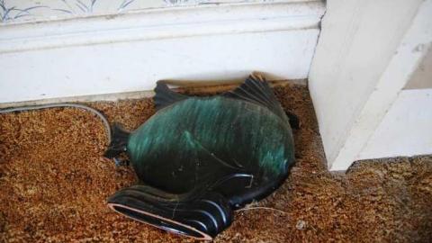 June 29 2013 - qsDSC_0208.jpg