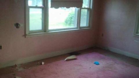 The Great indoors - Newley-Abandoned-On-Rymal9.jpg