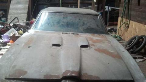 The Barn - RussellChristie-House213.jpg