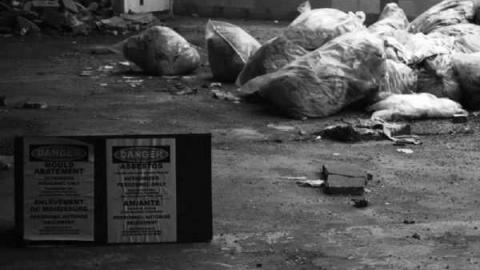 Regal Constellation - Regal-Constellation30.jpg