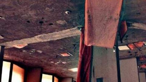 Regal Constellation - Regal-Constellation31.jpg