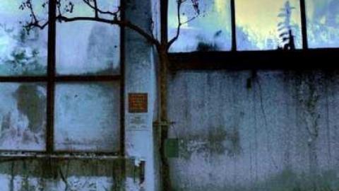 Regal Constellation - Regal-Constellation36.jpg