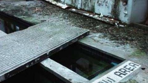 Regal Constellation - Regal-Constellation37.jpg