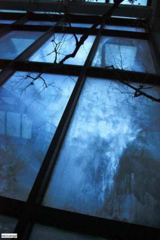 Regal Constellation photo 2