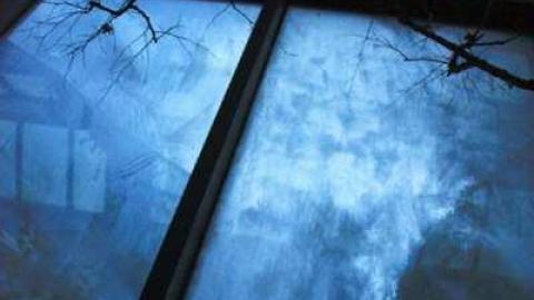 Photo from Regal Constellation