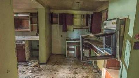 I'm Still Standin'  - Poor-Little-House,-Leslie-St.7.jpg