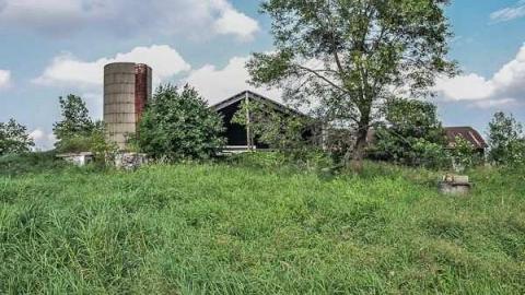 Pick Up Sticks - Dickson-Hill-House46.jpg