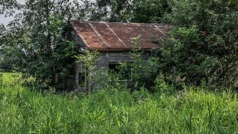 Pick Up Sticks - Dickson-Hill-House55.jpg