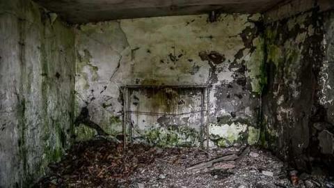 Pick Up Sticks - Dickson-Hill-House48.jpg