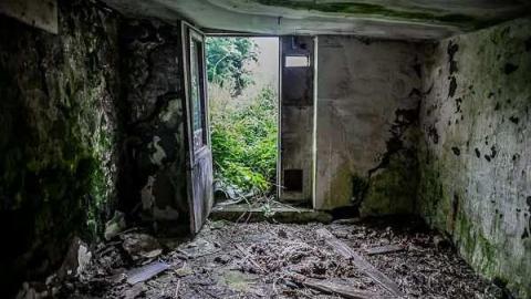 Pick Up Sticks - Dickson-Hill-House57.jpg