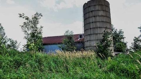 Pick Up Sticks - Dickson-Hill-House49.jpg