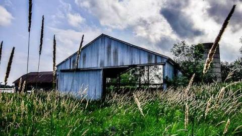 Pick Up Sticks - Dickson-Hill-House58.jpg