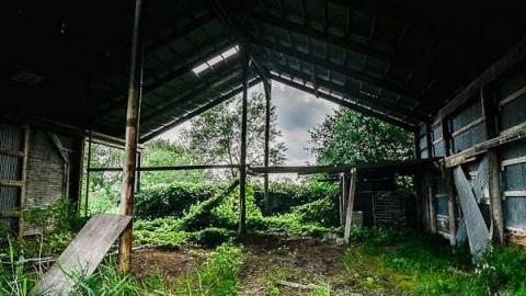 Pick Up Sticks - Dickson-Hill-House50.jpg