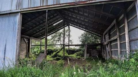 Pick Up Sticks - Dickson-Hill-House53.jpg