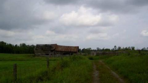 Horncastle Exists Once More - Clays! 002.jpg