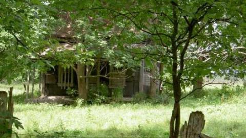 Horncastle Exists Once More - Clays! 003.jpg