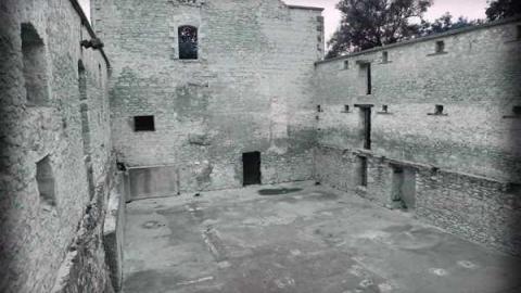 Steady Eddie - Goldie-Mill29.jpg