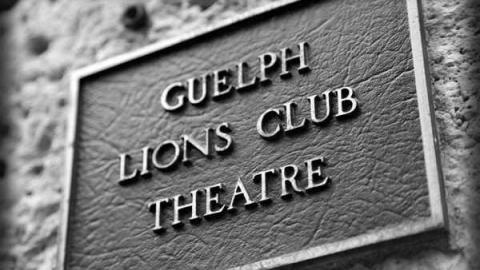 Steady Eddie - Goldie-Mill25.jpg