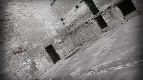 Photo from Steady Eddie