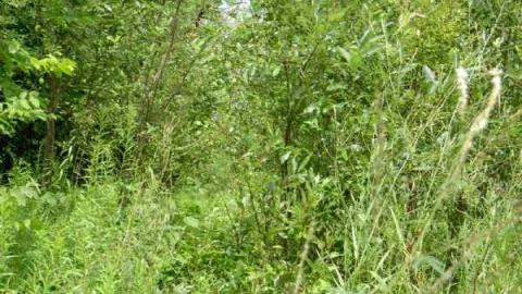 The road that got swallowed - Legendary-Road-Swallowed-Whole5.jpg