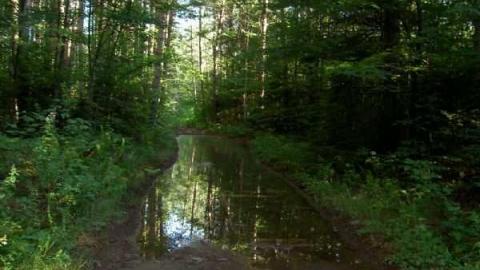 The road that got swallowed - Legendary-Road-Swallowed-Whole10.jpg