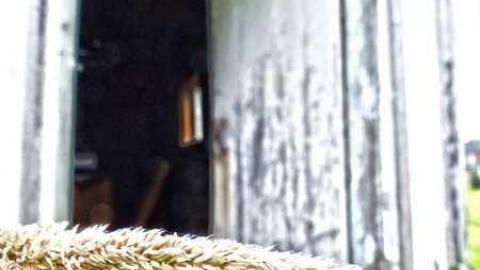 Lactose Intolerant - 5.jpg