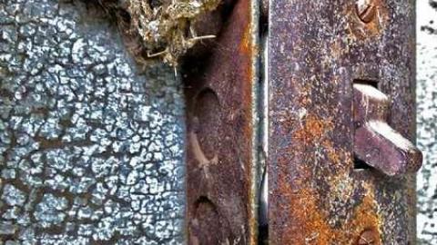 Lactose Intolerant - 6.jpg