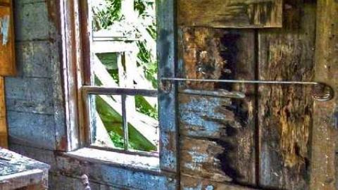 Lactose Intolerant - 7.jpg