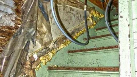 Lactose Intolerant - 13.jpg