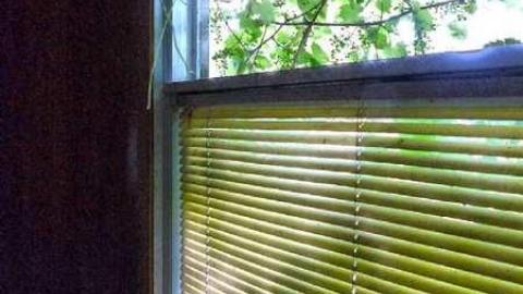 Lactose Intolerant - 14.jpg