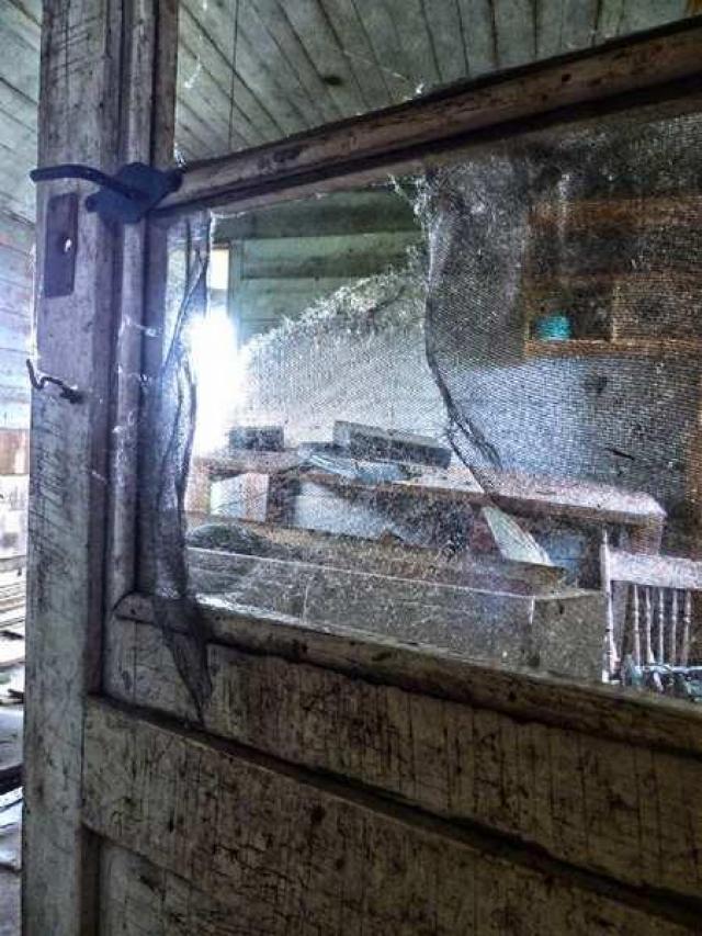 Lactose Intolerance photo 5