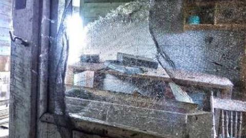 Lactose Intolerant - 18.jpg