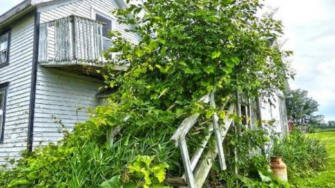 Lactose Intolerant - 20.jpg