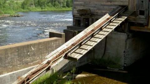 Saw me in half - Austin-Saw-Mill-in-Kinmount15.jpg