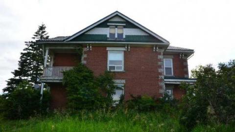 Mountain Maple - Mountain-Maple51.jpg