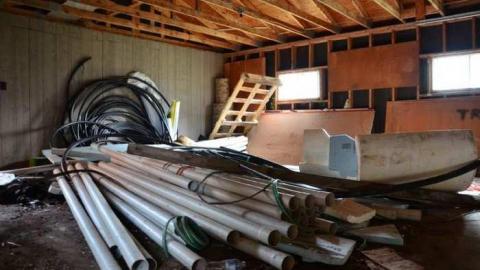 Photo from Mountain Maple