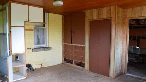 Mountain Maple - Mountain-Maple29.jpg