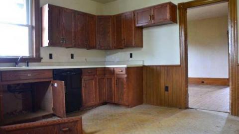 Mountain Maple - Mountain-Maple30.jpg