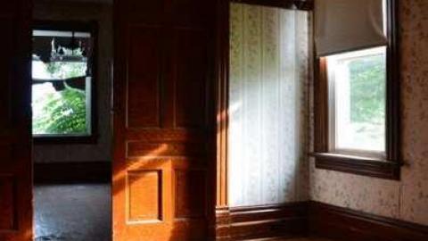 Mountain Maple - Mountain-Maple31.jpg