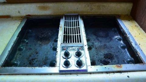 Mountain Maple - Mountain-Maple33.jpg