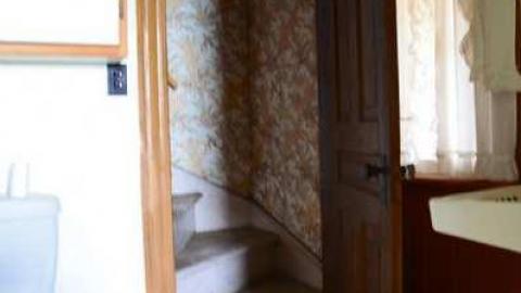 Photo from Mountain Maple