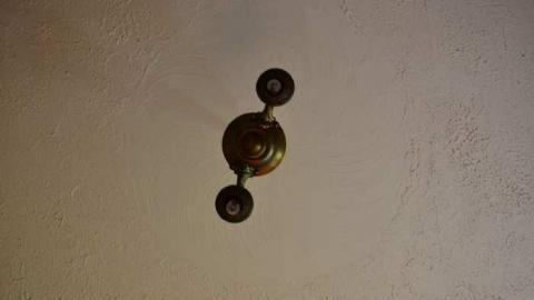 Mountain Maple - Mountain-Maple39.jpg