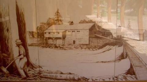 Saw me in half - Austin-Saw-Mill-in-Kinmount18.jpg