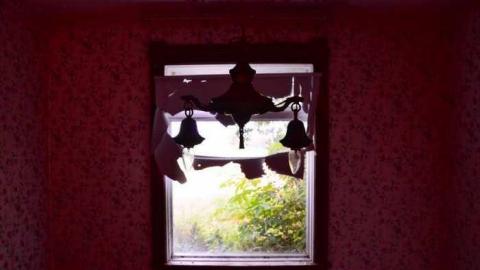 Mountain Maple - Mountain-Maple41.jpg