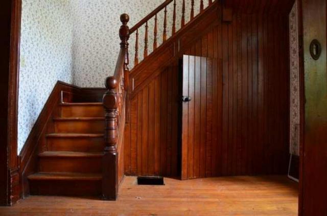 Mountain Maple photo 4