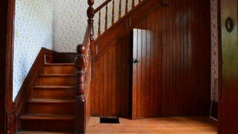 Photo from Mountain Maple